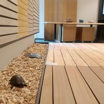 Terrassenbeläge im Vergleich